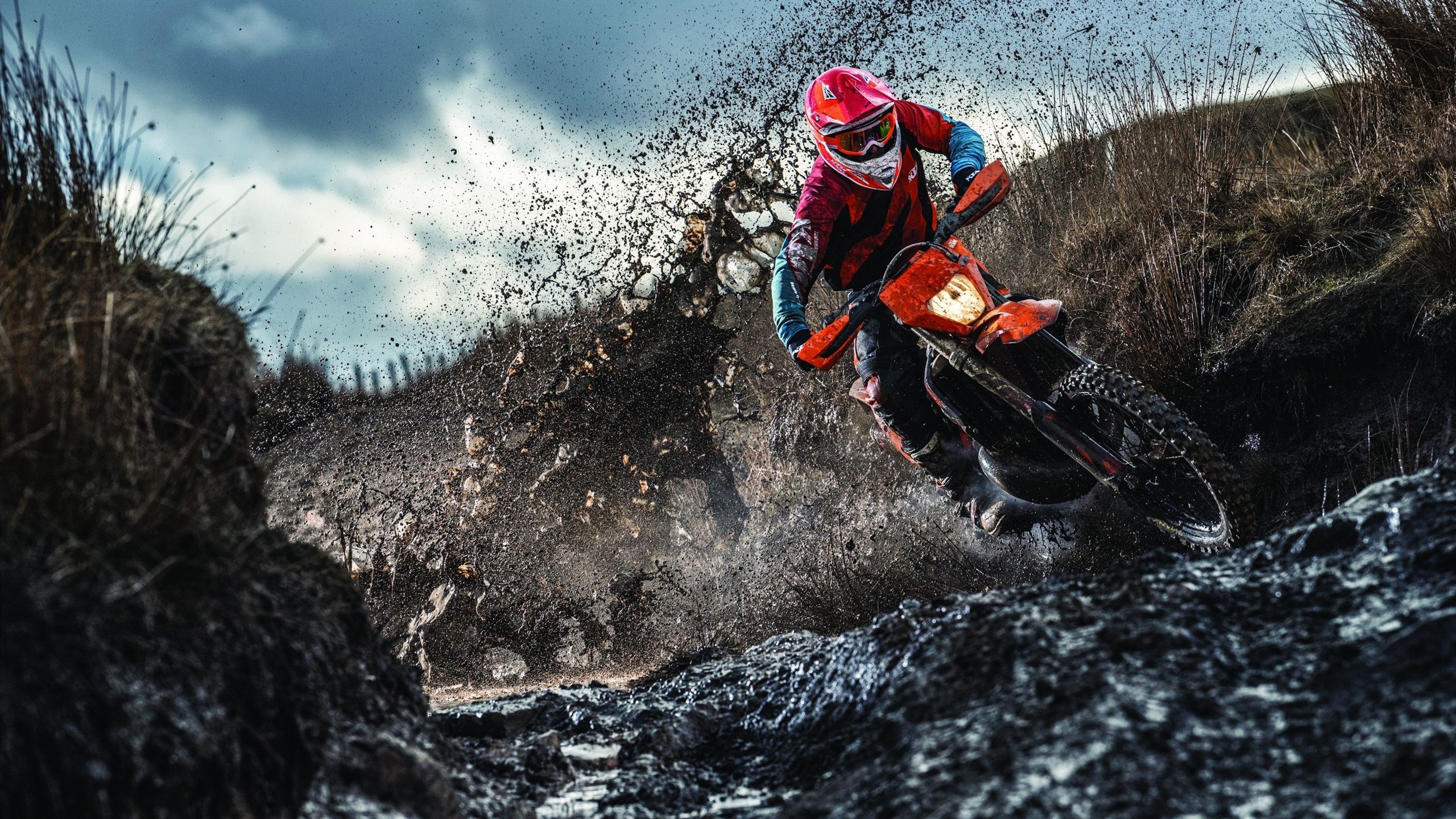 Chinese Taipei冲击高峰，2024混合团体世界杯表现引热议，世界杯团体赛规则